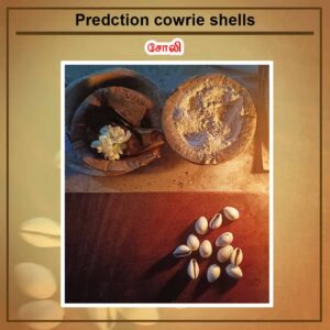 Predction cowrie shells