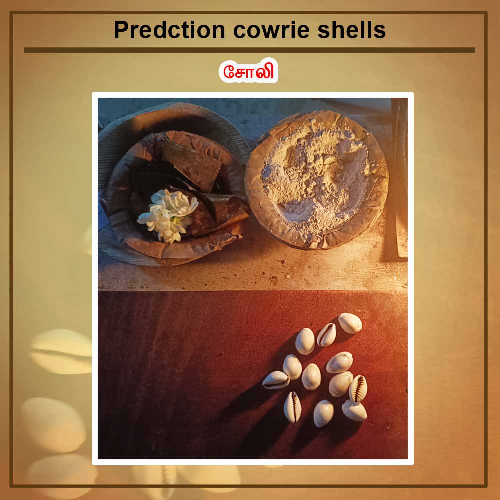 Predction cowrie shells