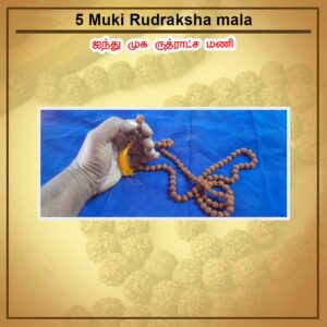 5 Muki Rudraksha mala
